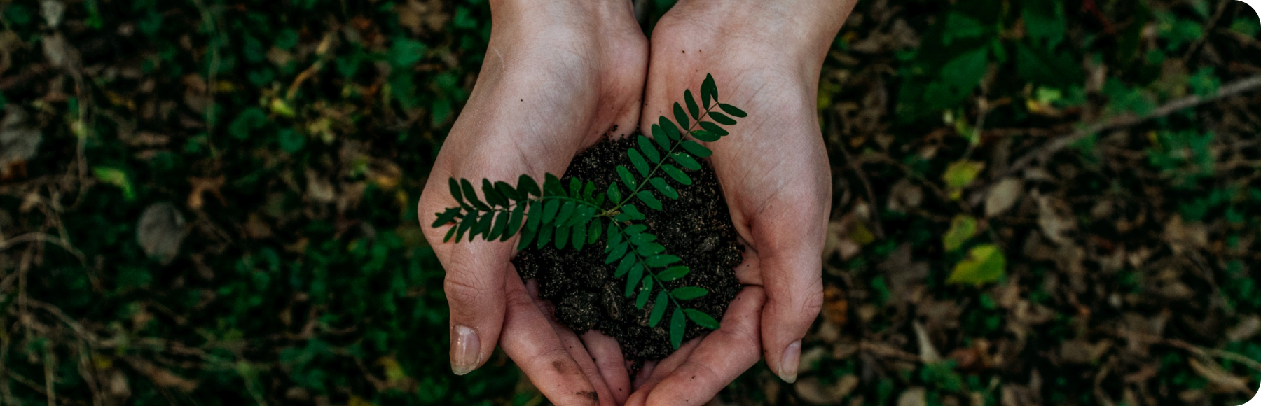 Sustainability
